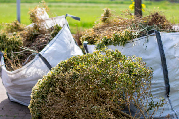 Best Shed Removal  in Country Club Estates, GA